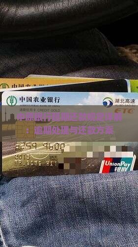 中原银行延期还款规定详解