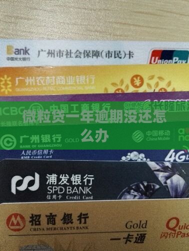 微粒贷一年逾期没还怎么办