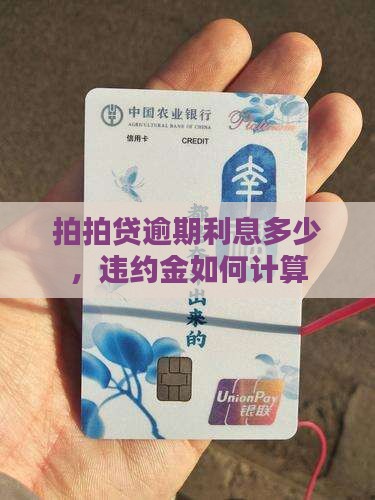 拍拍贷利息违约金如何计算