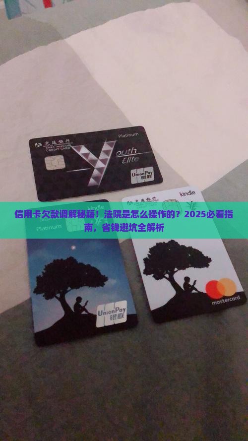 法院怎么样调解信用卡欠款