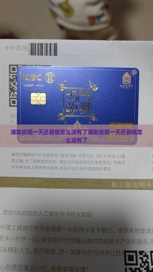 浦发逾期一天还最低怎么没有了