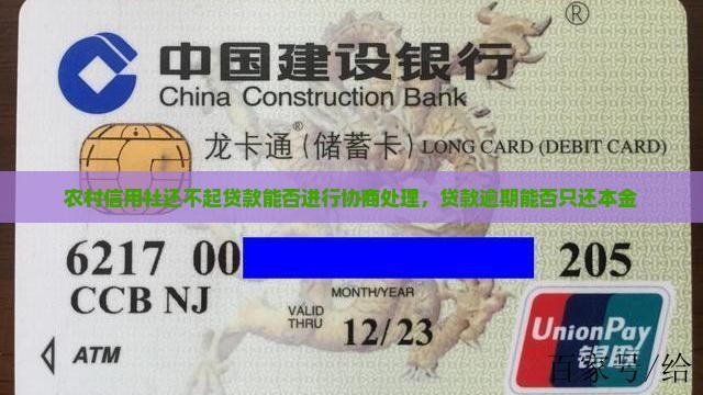 农村信用社还不起贷款能否进行协商处理