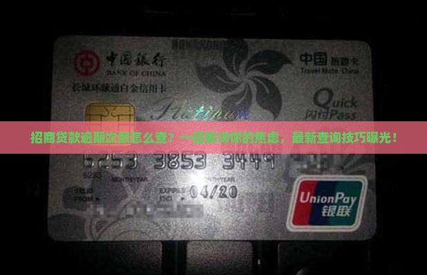 招商贷款逾期次数查询方法