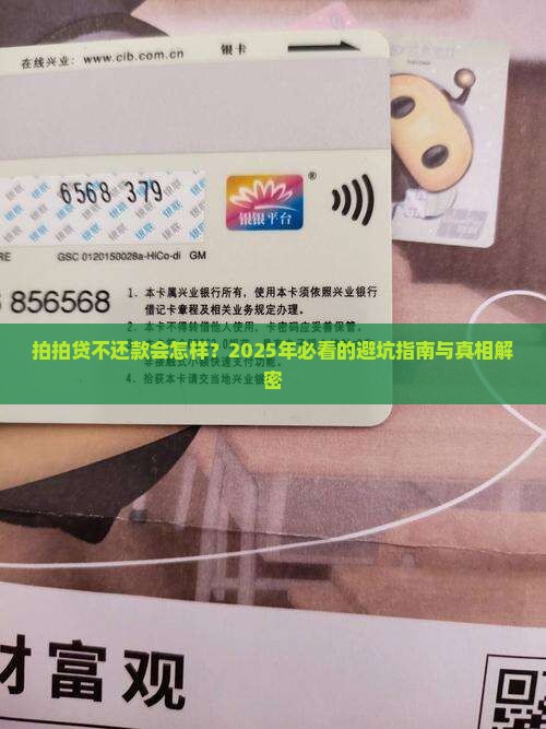 拍拍贷不还款的后果