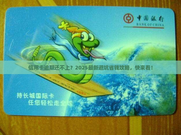 信用卡都逾期了还不起