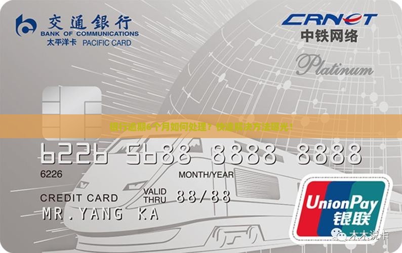 银行逾期6个月如何处理