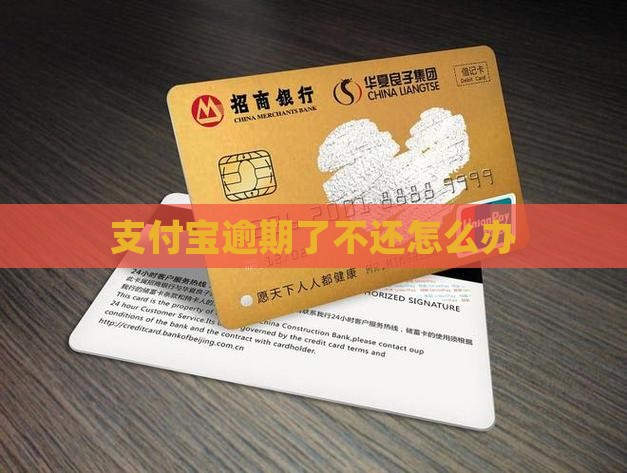支付宝逾期了不还怎么办