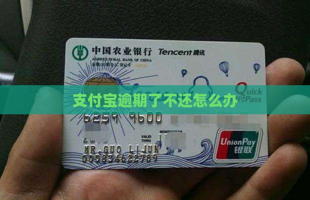 支付宝逾期了不还怎么办