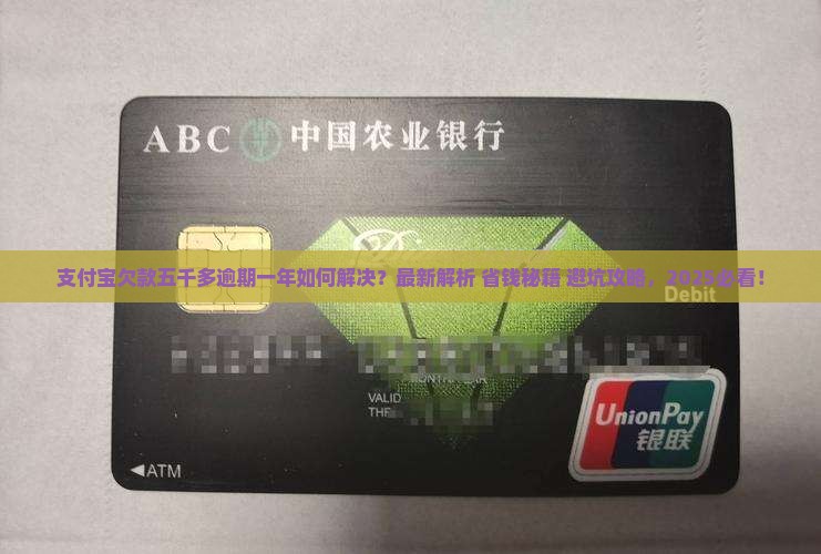 支付宝欠款五千多逾期一年如何解决
