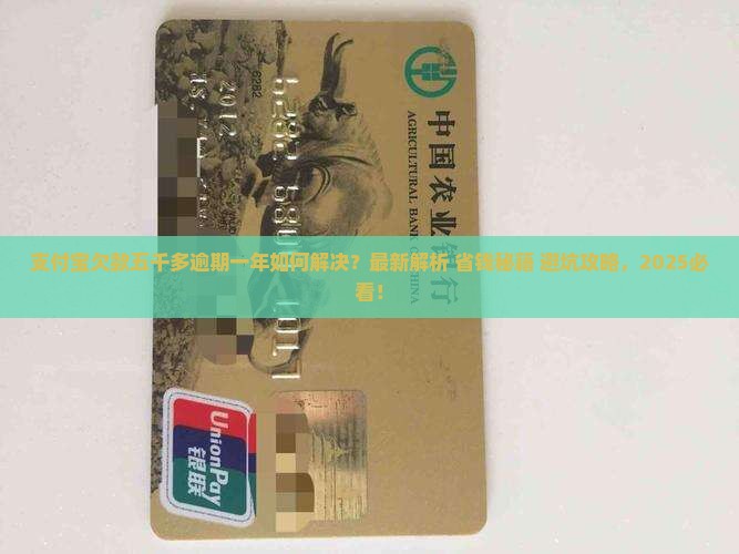 支付宝欠款五千多逾期一年如何解决