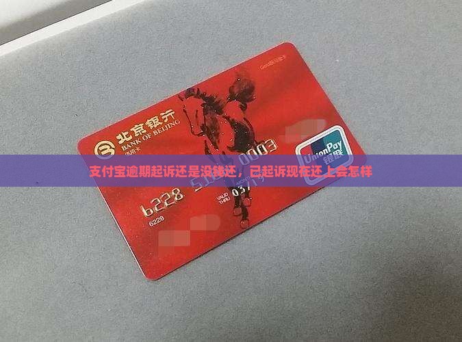 支付宝逾期起诉还是没钱还