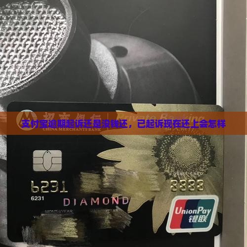 支付宝逾期起诉还是没钱还
