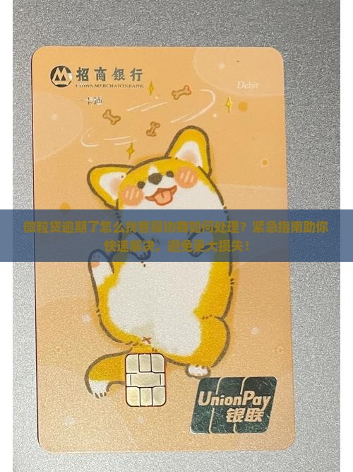 微粒贷逾期了怎么找客服协商如何处理