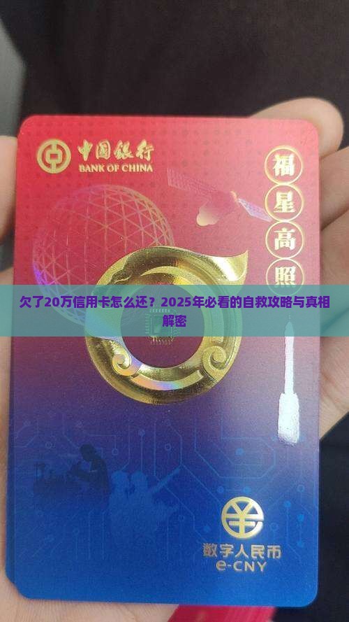 欠了20万信用卡怎么还