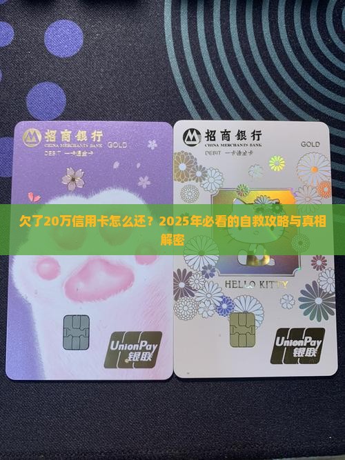 欠了20万信用卡怎么还