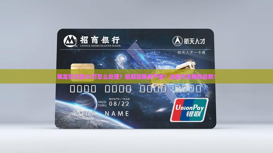翼龙贷欠款20万怎么处理