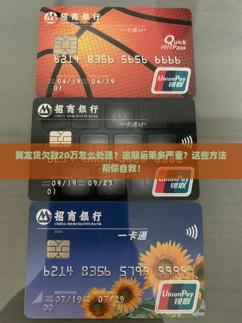 翼龙贷欠款20万怎么处理
