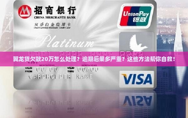 翼龙贷欠款20万怎么处理