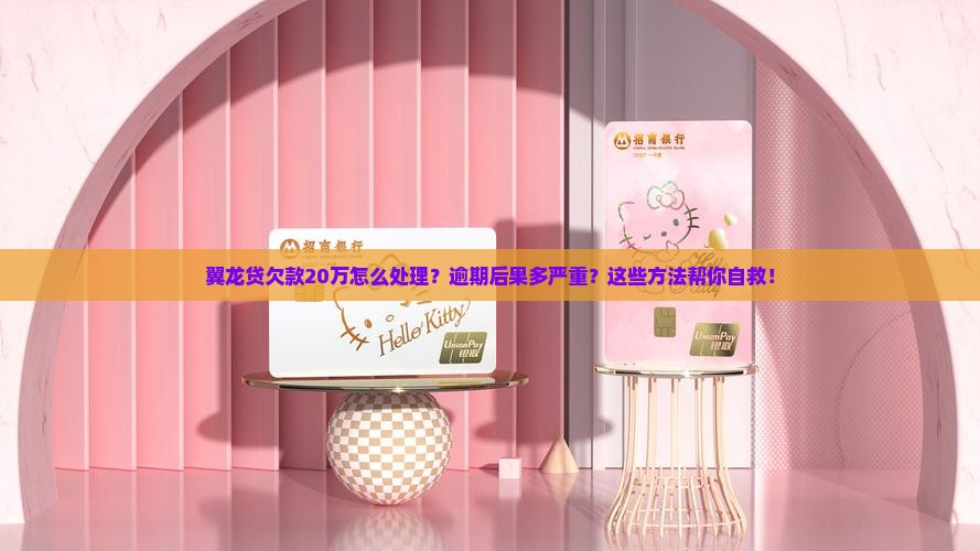 翼龙贷欠款20万怎么处理