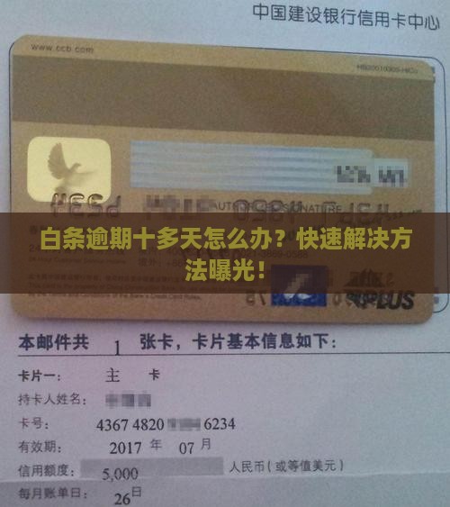白条逾期十多天怎么办