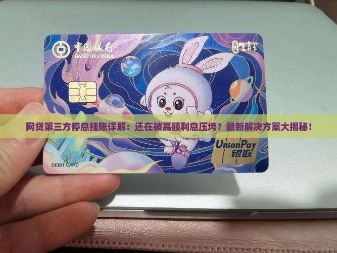 网贷第三方停息挂账详解