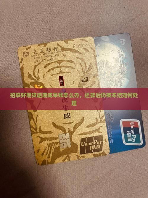 招联好期贷逾期成呆账怎么办