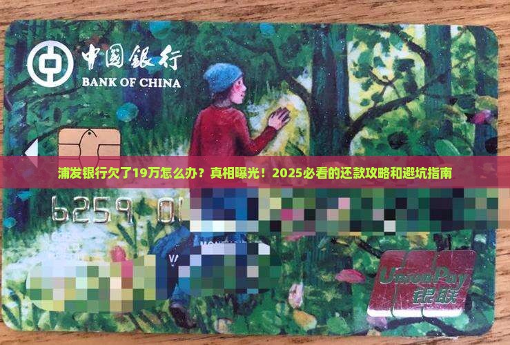 浦发银行欠了19万怎么办