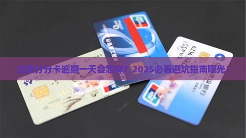 白条分分卡逾期一天会有什么后果