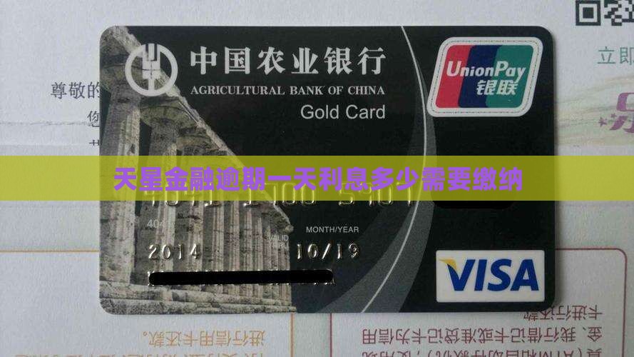 天星金融逾期一天利息多少需要缴纳
