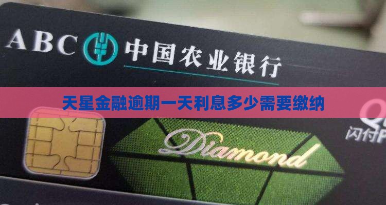天星金融逾期一天利息多少需要缴纳