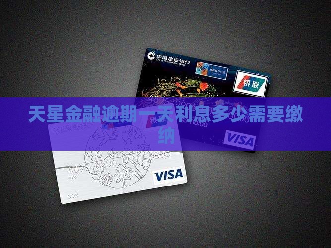 天星金融逾期一天利息多少需要缴纳