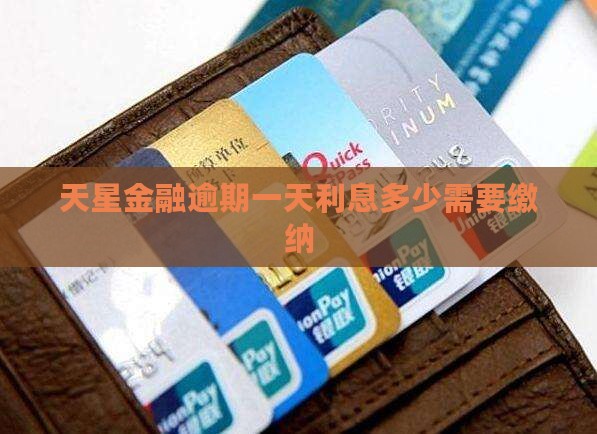 天星金融逾期一天利息多少需要缴纳