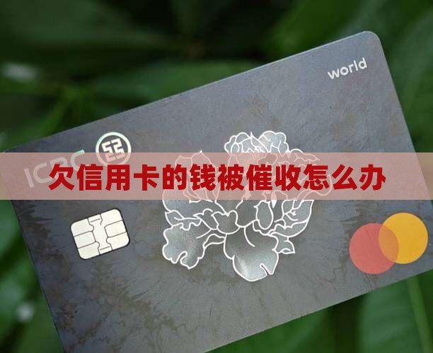 欠信用卡的钱被催收怎么办