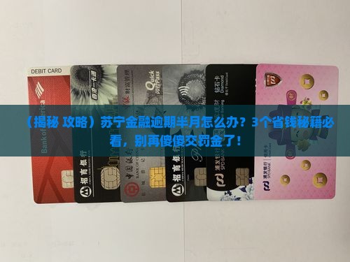 苏宁金融逾期半月