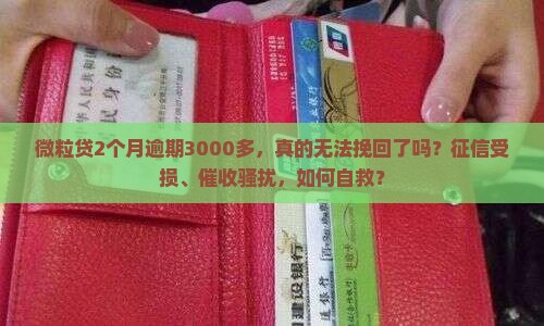 微粒贷2个月逾期3000多
