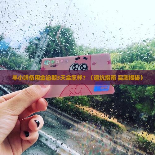 羊小咩备用金逾期会有什么严重后果呢