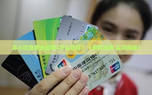羊小咩备用金逾期会有什么严重后果呢