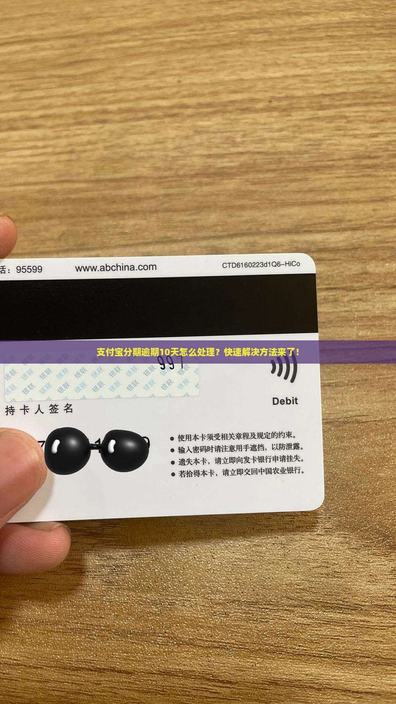 支付宝分期逾期10天怎么处理
