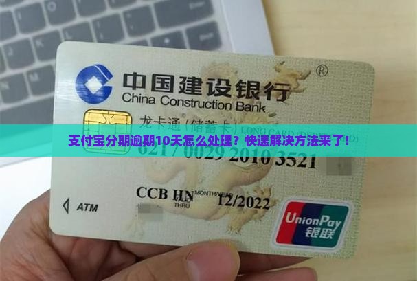 支付宝分期逾期10天怎么处理