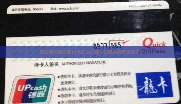 支付宝分期逾期10天怎么处理