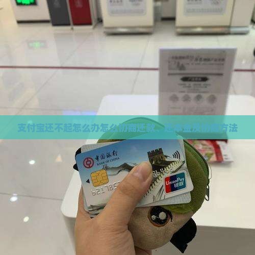 支付宝还不起怎么办怎么协商