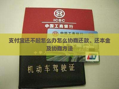 支付宝还不起怎么办怎么协商