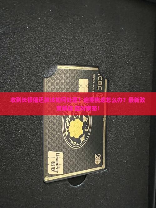 收到长银催还款该如何处理