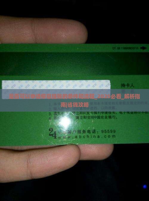 是否可以申请停息挂账的条件和流程