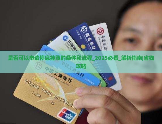 是否可以申请停息挂账的条件和流程
