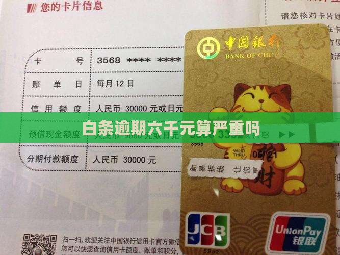 白条逾期六千元算严重吗