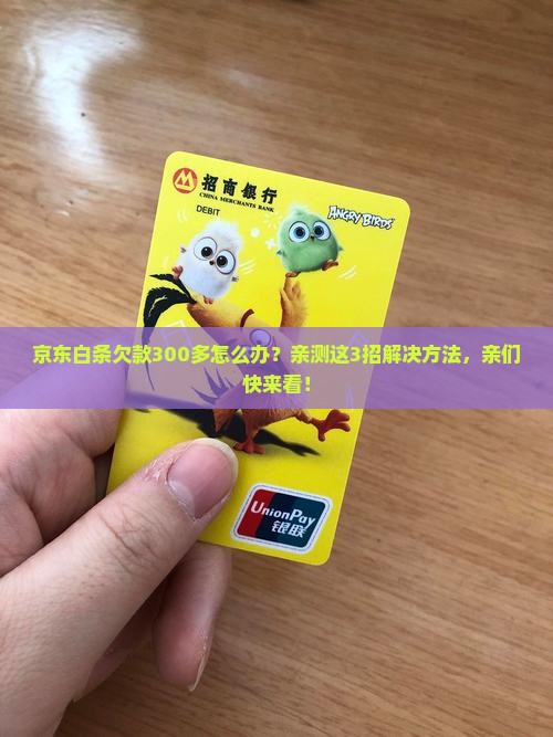 京东白条欠款300多怎么办