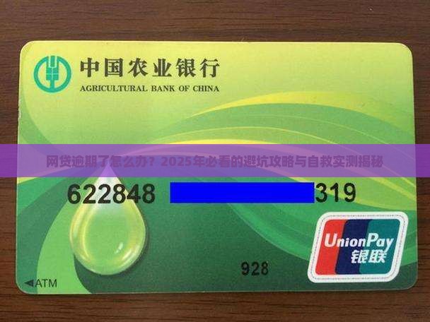 所有网贷逾期怎么办应对措施