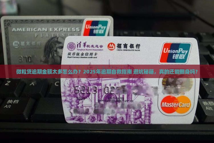微粒贷逾期金额过多怎么办 微粒贷逾期金额过多怎么办