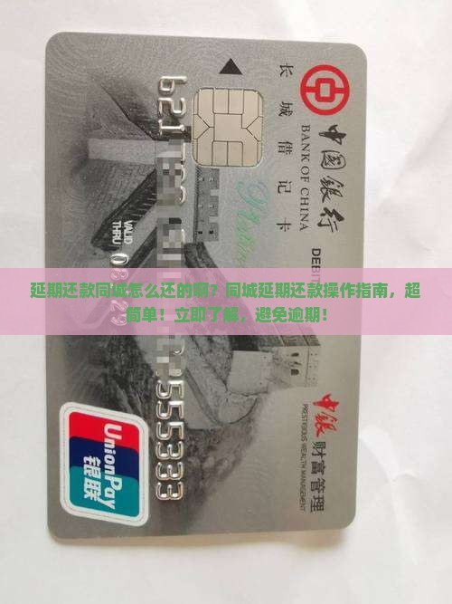 延期还款同城怎么还的啊
